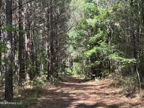 Bonds Road, Roxie, MS 39661 photo 11