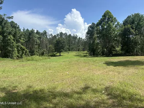Bonds Road, Roxie, MS 39661 photo 4
