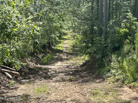 Bonds Road, Roxie, MS 39661 photo 8