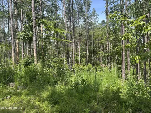 Bonds Road, Roxie, MS 39661 photo 3