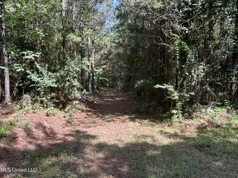 Bonds Road, Roxie, MS 39661 photo 15