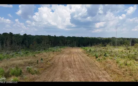 Bonds Road, Roxie, MS 39661 photo 19
