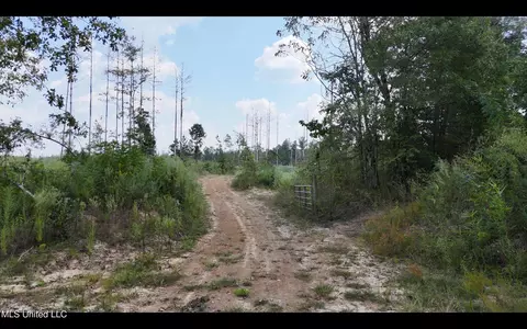 Bonds Road, Roxie, MS 39661 photo 21