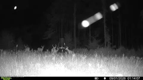 Bonds Road, Roxie, MS 39661 photo 17