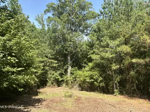 Bonds Road, Roxie, MS 39661 photo 14
