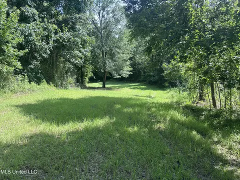Bonds Road, Roxie, MS 39661 photo 12