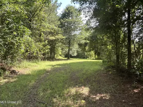 Bonds Road, Roxie, MS 39661 photo 16