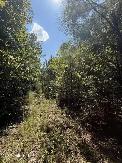 4920 Wiggins Loop Rd, Carthage, MS 39051