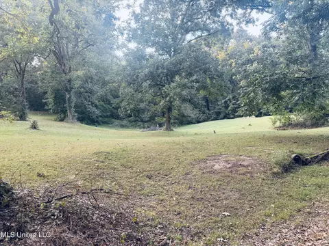 2 Pin Oak Dr, Natchez, MS 39120 photo 39
