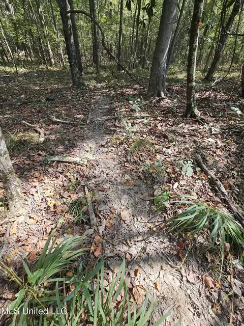 Simpson Highway 469, Florence, MS 39073 photo 4