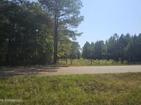 Simpson Highway 469, Florence, MS 39073 photo 2