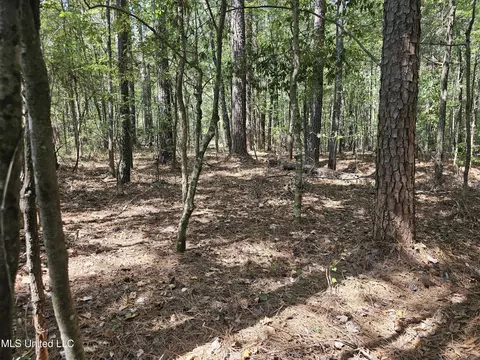Simpson Highway 469, Florence, MS 39073 photo 18