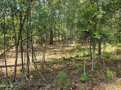 Simpson Highway 469, Florence, MS 39073 photo 15