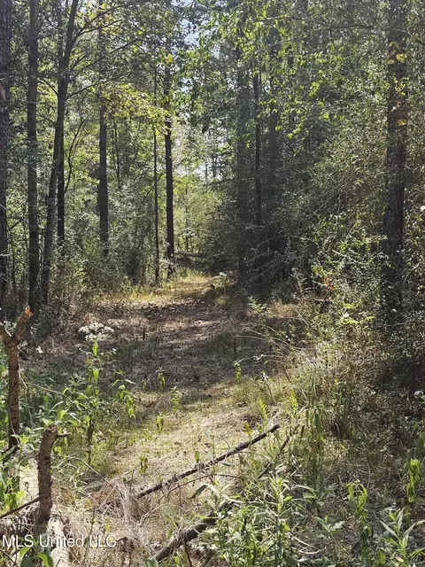 Simpson Highway 469, Florence, MS 39073 photo 20
