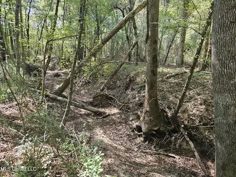 Simpson Highway 469, Florence, MS 39073 photo 11