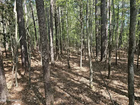 Simpson Highway 469, Florence, MS 39073 photo 17