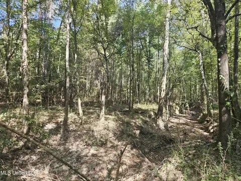 Simpson Highway 469, Florence, MS 39073 photo 13
