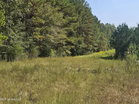 Simpson Highway 469, Florence, MS 39073 photo 16