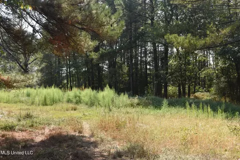 Simpson Highway 469, Florence, MS 39073 photo 22