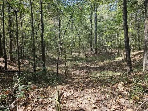Simpson Highway 469, Florence, MS 39073 photo 9
