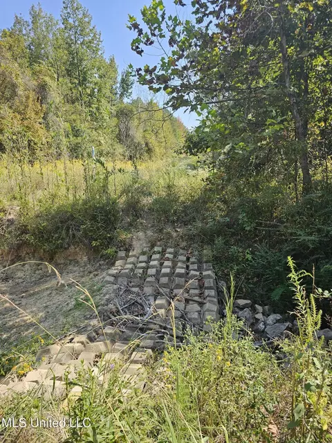 Simpson Highway 469, Florence, MS 39073 photo 14