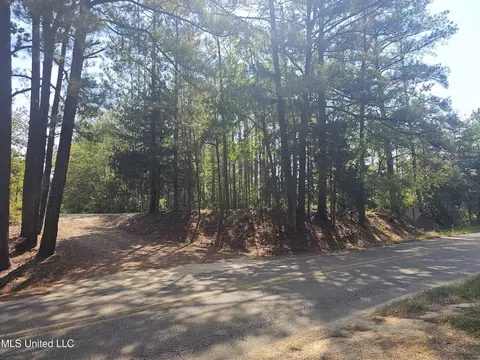 Simpson Highway 469, Florence, MS 39073