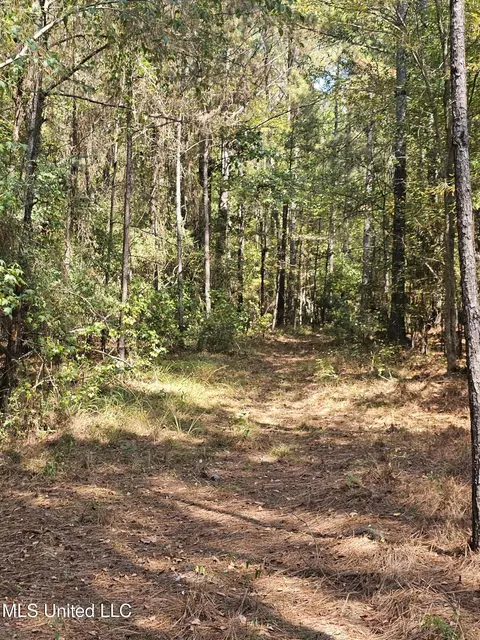 Simpson Highway 469, Florence, MS 39073 photo 21