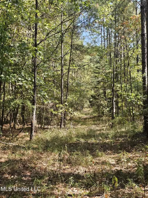 Simpson Highway 469, Florence, MS 39073 photo 19