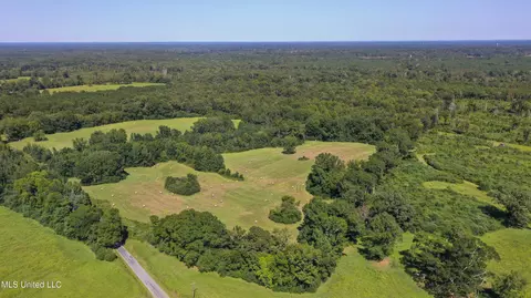 Clifton Road, Forest, MS 39074