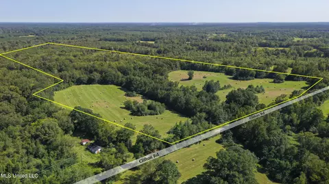 Clifton Road, Forest, MS 39074 photo 3