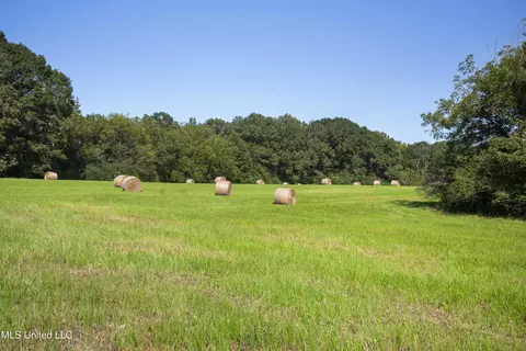 Clifton Road, Forest, MS 39074 photo 23