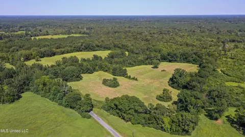 Clifton Road, Forest, MS 39074 photo 9