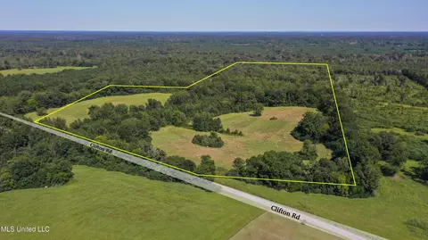 Clifton Road, Forest, MS 39074 photo 8