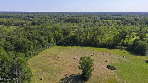Clifton Road, Forest, MS 39074 photo 16