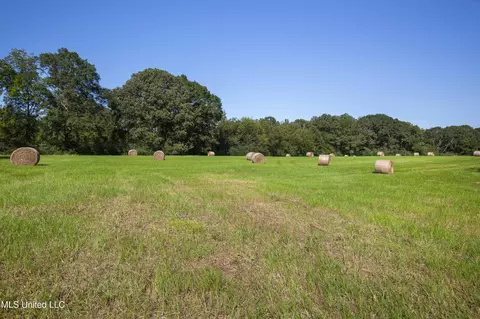 Clifton Road, Forest, MS 39074 photo 24
