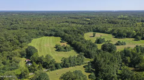 Clifton Road, Forest, MS 39074 photo 2