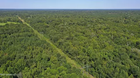 Clifton Road, Forest, MS 39074 photo 17
