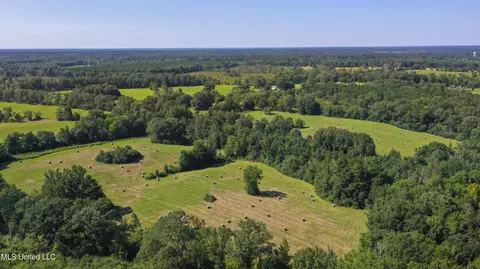 Clifton Road, Forest, MS 39074 photo 19