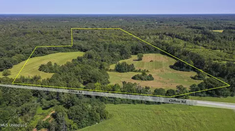 Clifton Road, Forest, MS 39074 photo 6