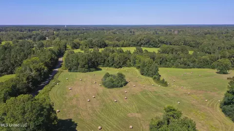 Clifton Road, Forest, MS 39074 photo 11