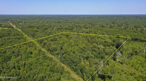 Clifton Road, Forest, MS 39074 photo 18