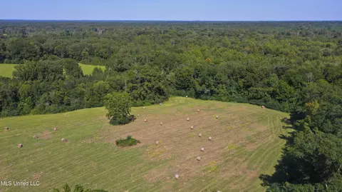 Clifton Road, Forest, MS 39074 photo 12
