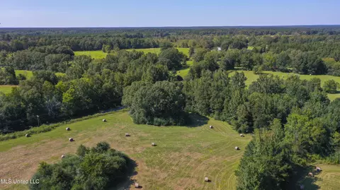 Clifton Road, Forest, MS 39074 photo 13