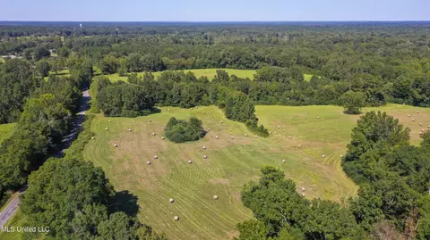 Clifton Road, Forest, MS 39074 photo 10