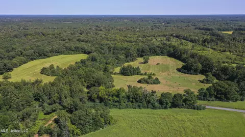 Clifton Road, Forest, MS 39074 photo 5