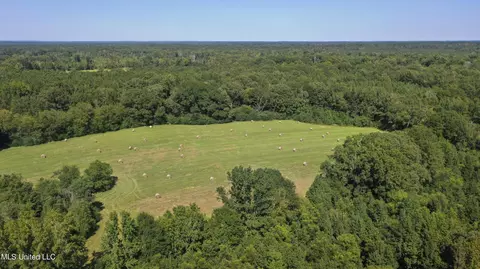 Clifton Road, Forest, MS 39074 photo 14