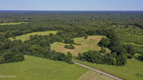 Clifton Road, Forest, MS 39074 photo 7