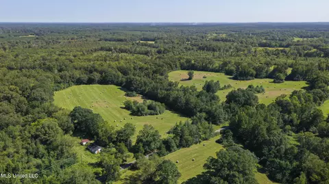 Clifton Road, Forest, MS 39074 photo 4