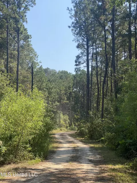 60 Horseshoe Ln, Carriere, MS 39426