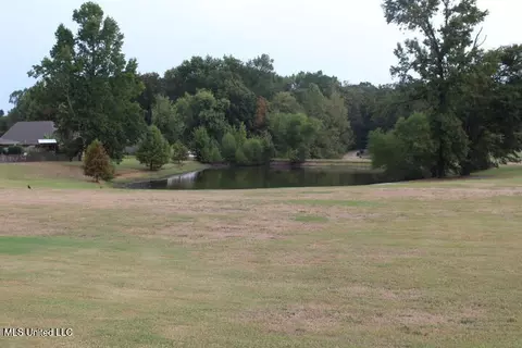 Other - 3590 Tanna Cv, Hernando, MS 38632 photo 8 of 8